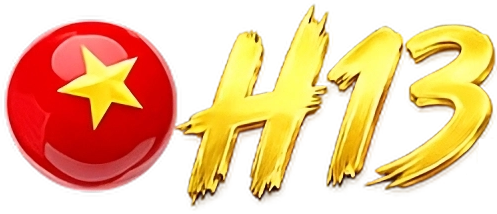 H13